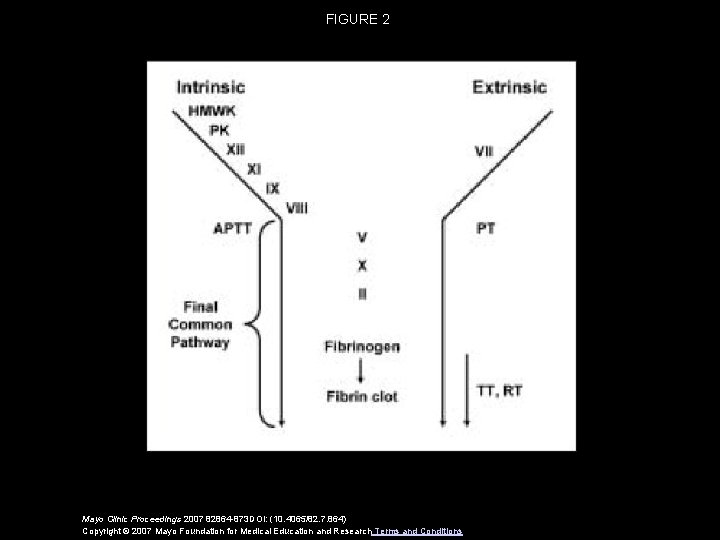FIGURE 2 Mayo Clinic Proceedings 2007 82864 -873 DOI: (10. 4065/82. 7. 864) Copyright