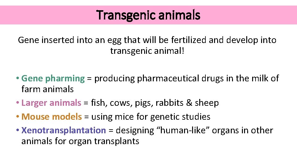 Transgenic animals Gene inserted into an egg that will be fertilized and develop into