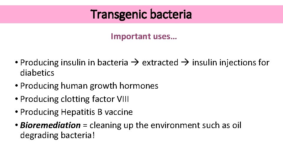 Transgenic bacteria Important uses… • Producing insulin in bacteria extracted insulin injections for diabetics