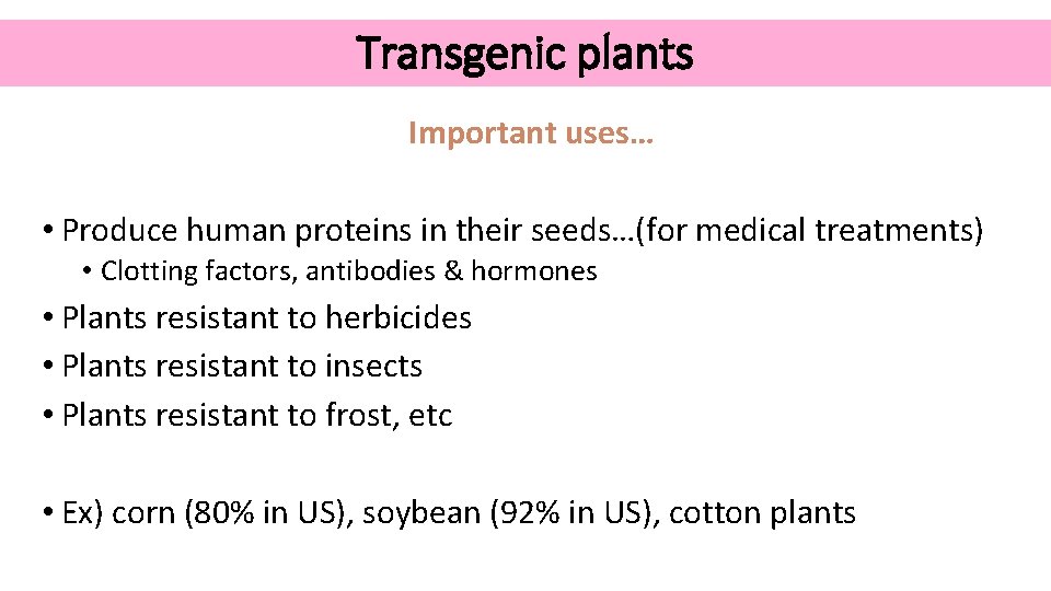 Transgenic plants Important uses… • Produce human proteins in their seeds…(for medical treatments) •