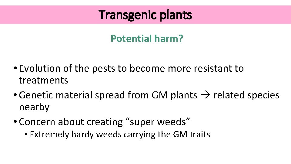Transgenic plants Potential harm? • Evolution of the pests to become more resistant to