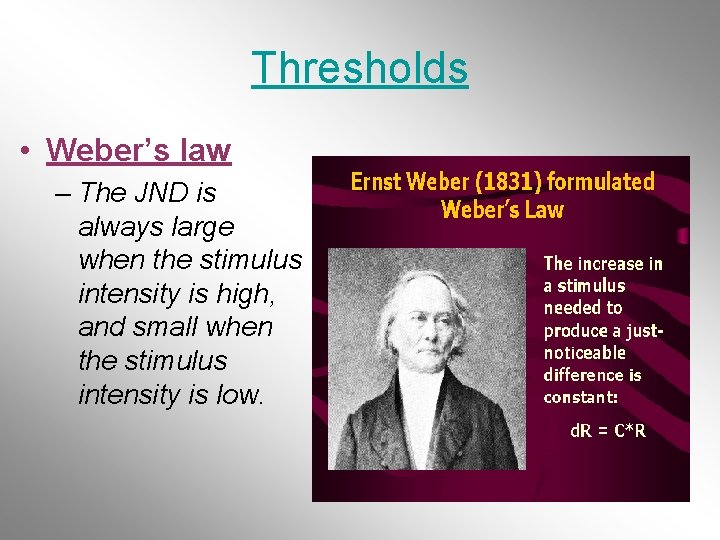 Thresholds • Weber’s law – The JND is always large when the stimulus intensity