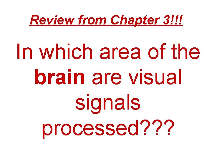 Review from Chapter 3!!! In which area of the brain are visual signals processed?