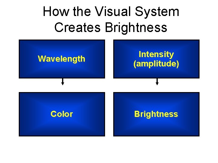 How the Visual System Creates Brightness Wavelength Intensity (amplitude) Color Brightness 