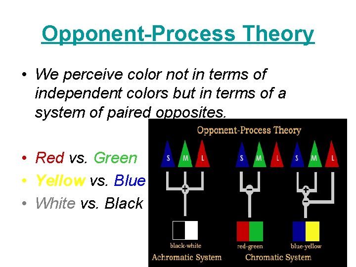 Opponent-Process Theory • We perceive color not in terms of independent colors but in