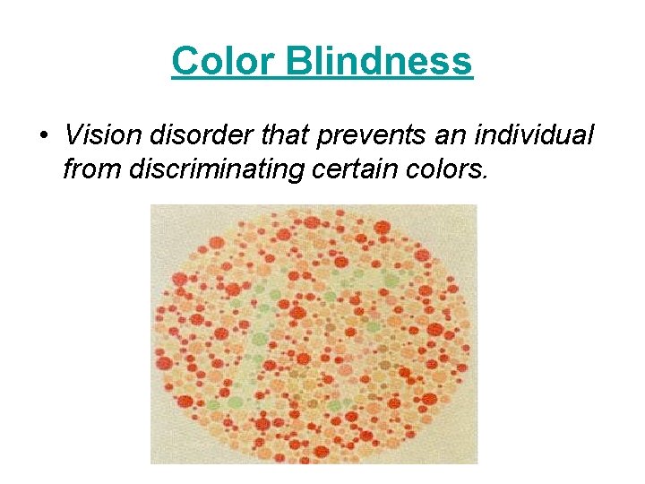 Color Blindness • Vision disorder that prevents an individual from discriminating certain colors. 