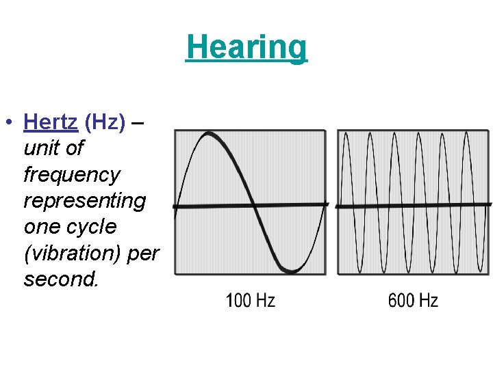 Hearing • Hertz (Hz) – unit of frequency representing one cycle (vibration) per second.