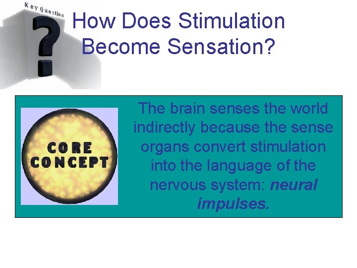 How Does Stimulation Become Sensation? The brain senses the world indirectly because the sense