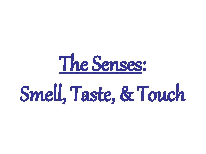 The Senses: Smell, Taste, & Touch 
