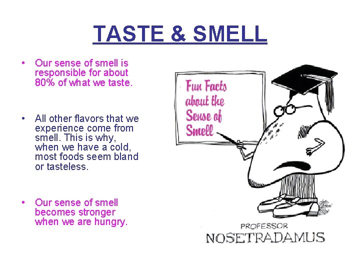 TASTE & SMELL • Our sense of smell is responsible for about 80% of