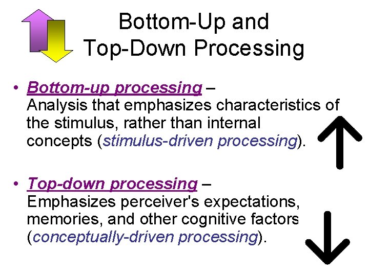 Bottom-Up and Top-Down Processing • Bottom-up processing – Analysis that emphasizes characteristics of the