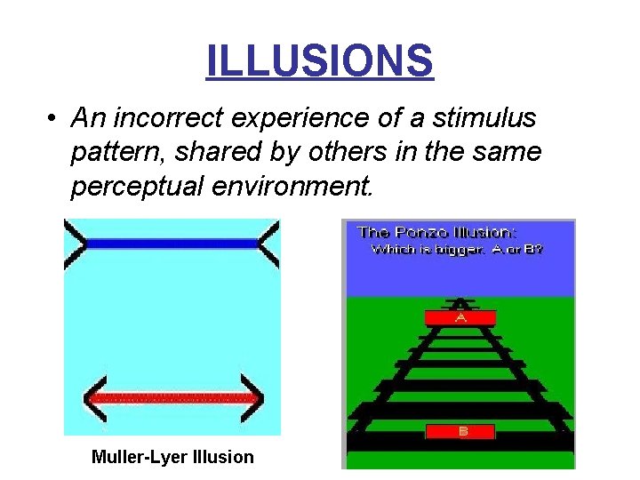 ILLUSIONS • An incorrect experience of a stimulus pattern, shared by others in the