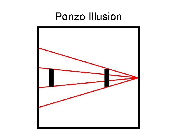 Ponzo Illusion 