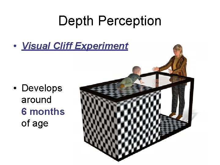 Depth Perception • Visual Cliff Experiment • Develops around 6 months of age 