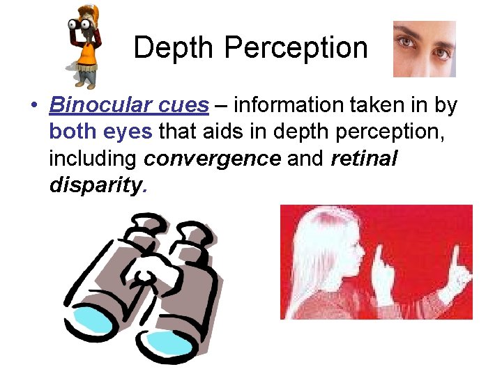 Depth Perception • Binocular cues – information taken in by both eyes that aids