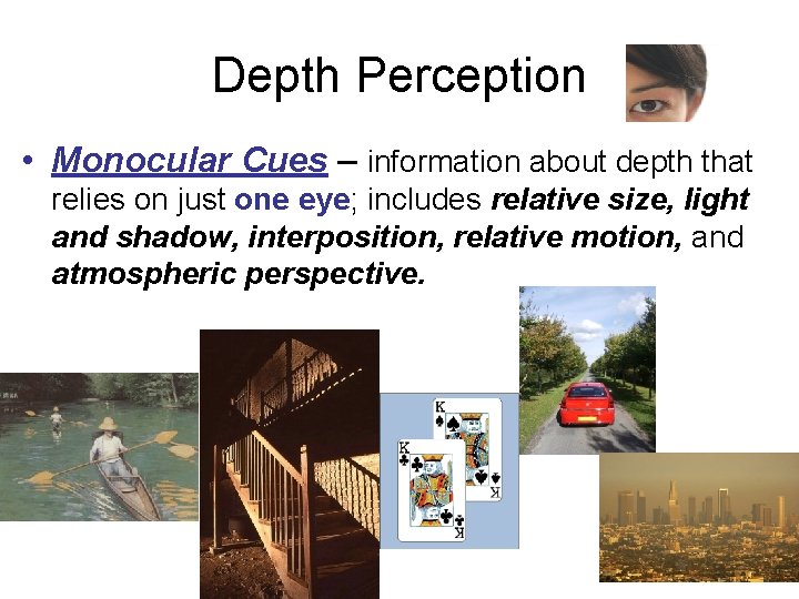 Depth Perception • Monocular Cues – information about depth that relies on just one