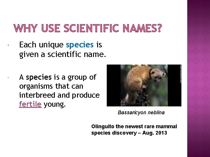 WHY USE SCIENTIFIC NAMES? Each unique species is given a scientific name. A species