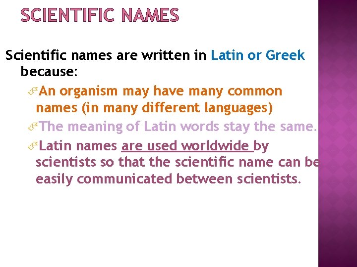 SCIENTIFIC NAMES Scientific names are written in Latin or Greek because: An organism may