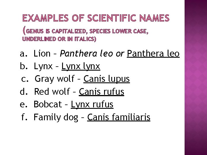 EXAMPLES OF SCIENTIFIC NAMES (GENUS IS CAPITALIZED, SPECIES LOWER CASE, UNDERLINED OR IN ITALICS)