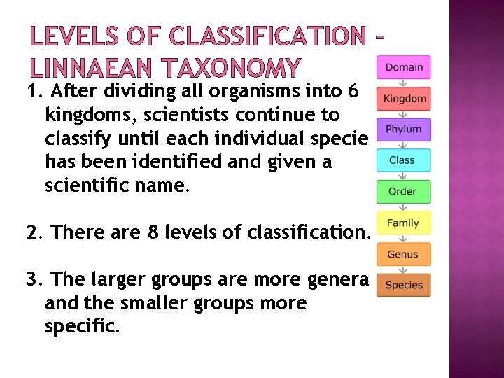 LEVELS OF CLASSIFICATION – LINNAEAN TAXONOMY 1. After dividing all organisms into 6 kingdoms,