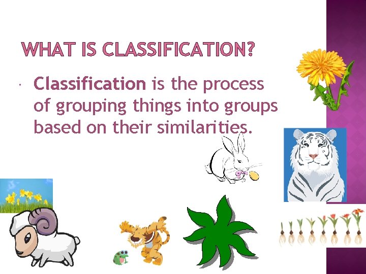 WHAT IS CLASSIFICATION? Classification is the process of grouping things into groups based on