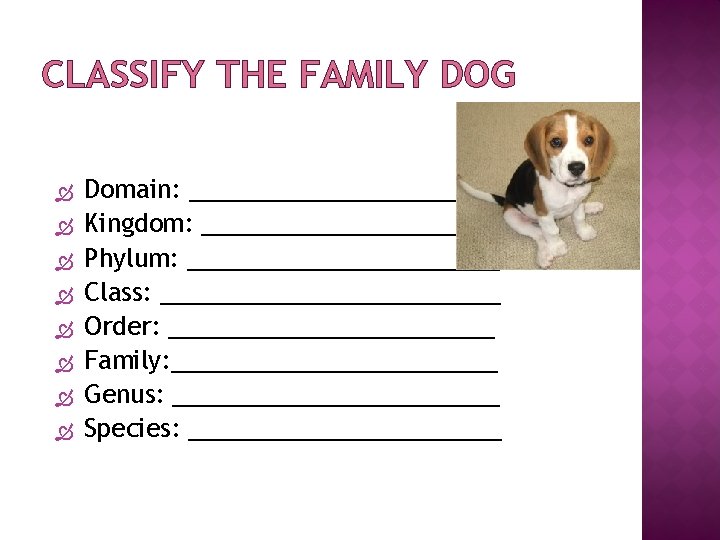 CLASSIFY THE FAMILY DOG Domain: ___________ Kingdom: ___________ Phylum: ____________ Class: _____________ Order: ____________