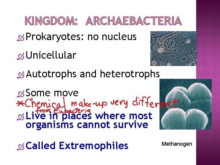 KINGDOM: ARCHAEBACTERIA Prokaryotes: no nucleus Unicellular Autotrophs Some and heterotrophs move Live in places