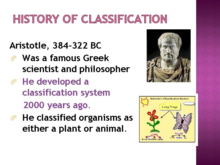 HISTORY OF CLASSIFICATION Aristotle, 384 -322 BC Was a famous Greek scientist and philosopher