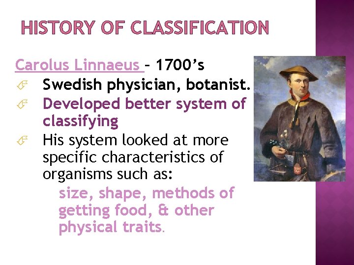 HISTORY OF CLASSIFICATION Carolus Linnaeus – 1700’s Swedish physician, botanist. Developed better system of