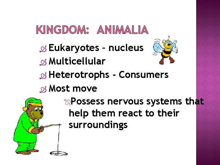 KINGDOM: ANIMALIA Eukaryotes – nucleus Multicellular Heterotrophs - Consumers Most move Possess nervous systems