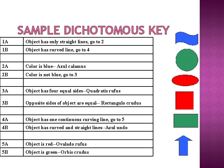 SAMPLE DICHOTOMOUS KEY 1 A Object has only straight lines, go to 2 1