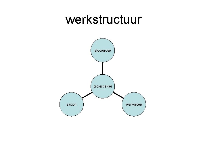 werkstructuur stuurgroep projectleider saxion werkgroep 