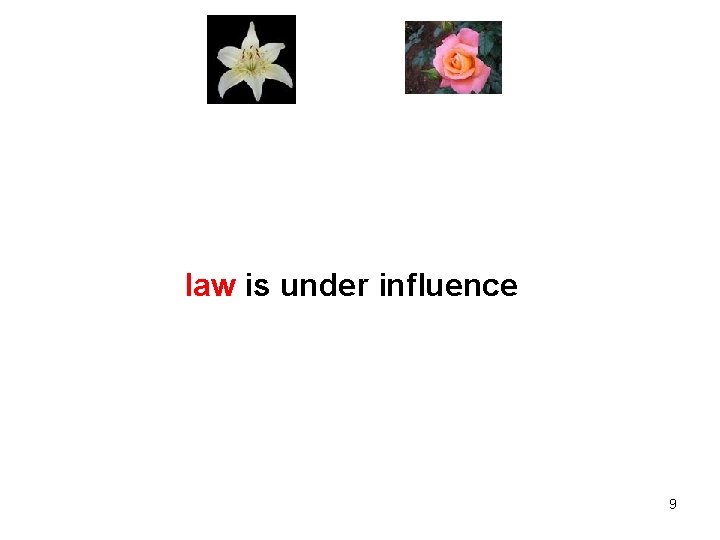  law is under influence 9 