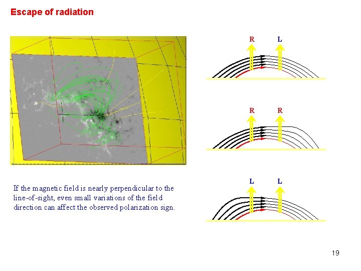Escape of radiation If the magnetic field is nearly perpendicular to the line-of-sight, even