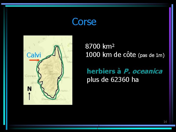 Corse Calvi 8700 km² 1000 km de côte (pas de 1 m) herbiers à