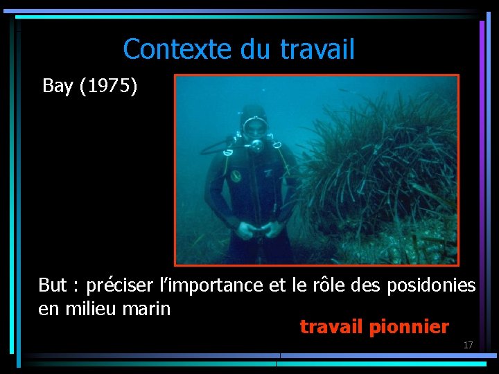 Contexte du travail Bay (1975) But : préciser l’importance et le rôle des posidonies