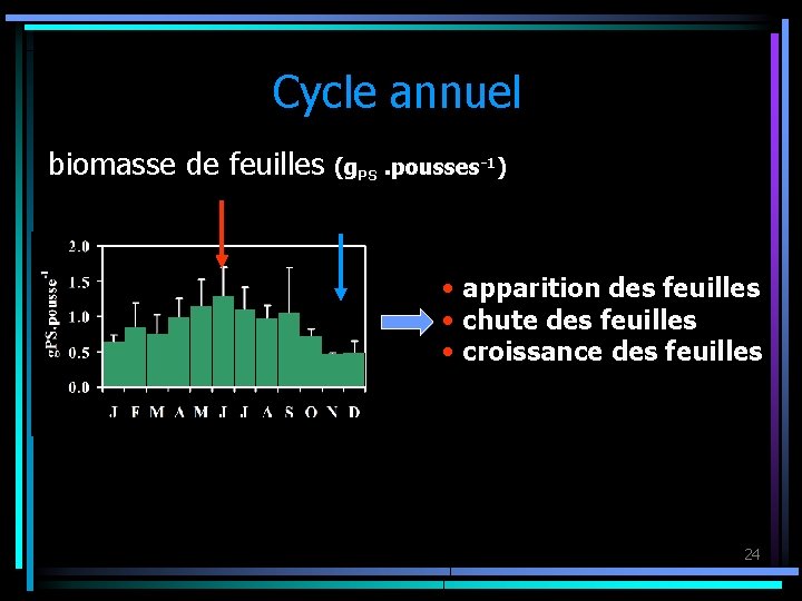 Cycle annuel biomasse de feuilles (g. PS. pousses-1) • apparition des feuilles • chute