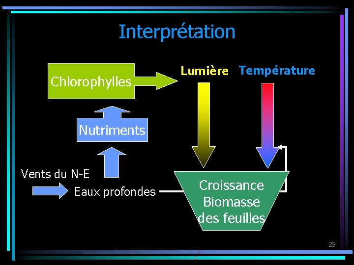 Interprétation Chlorophylles Lumière Température Nutriments Vents du N-E Eaux profondes Croissance Biomasse des feuilles
