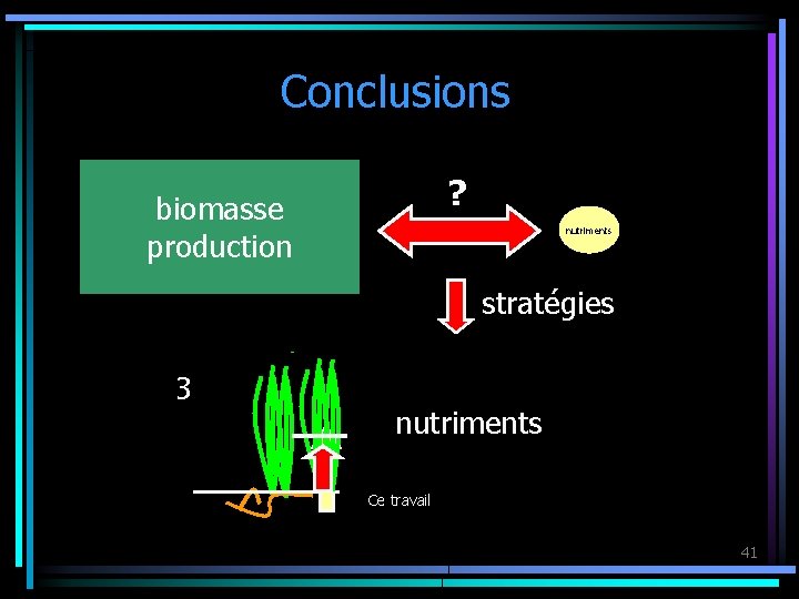 Conclusions biomasse production ? nutriments • stratégies 1 32 nutriments • • • nutriments