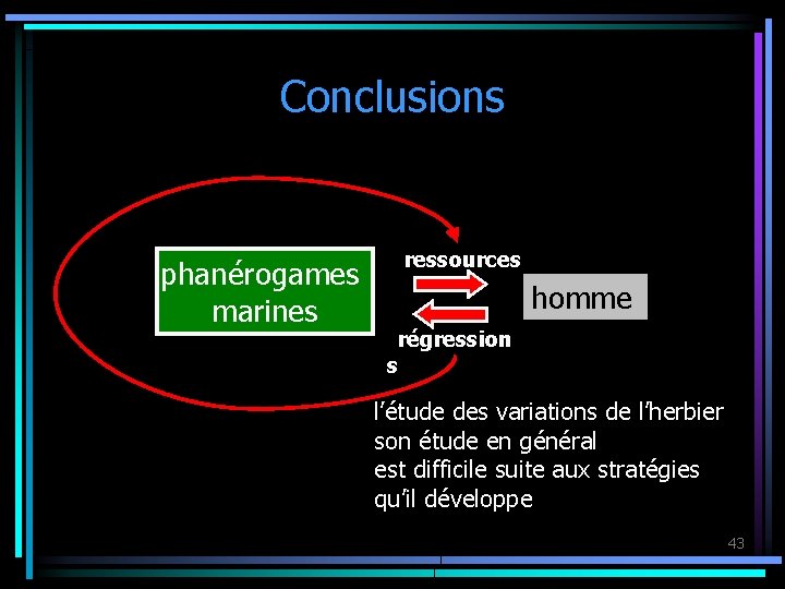 Conclusions phanérogames marines • ressources homme • régression s l’étude des variations de l’herbier