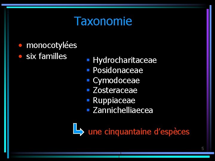 Taxonomie • monocotylées • six familles § § § Hydrocharitaceae Posidonaceae Cymodoceae Zosteraceae Ruppiaceae