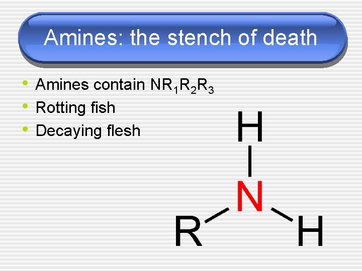 Amines: the stench of death • Amines contain NR 1 R 2 R 3