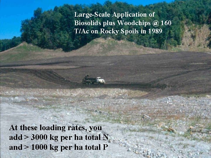Large-Scale Application of Biosolids plus Woodchips @ 160 T/Ac on Rocky Spoils in 1989