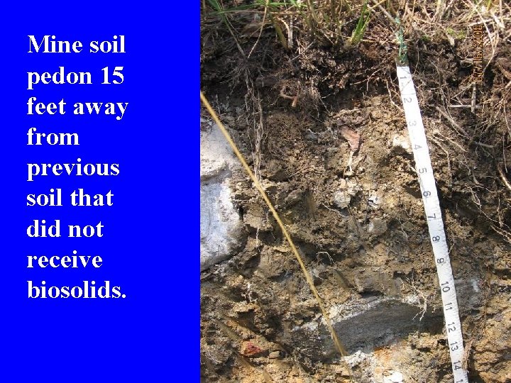 Mine soil pedon 15 feet away from previous soil that did not receive biosolids.