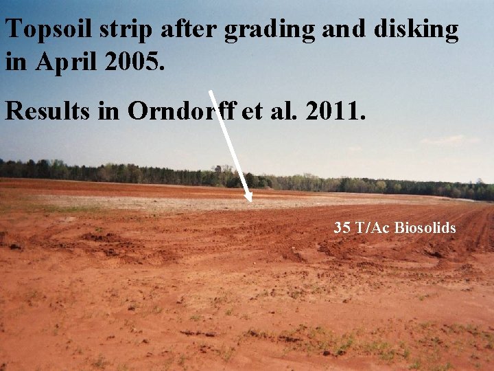 Topsoil strip after grading and disking in April 2005. Results in Orndorff et al.