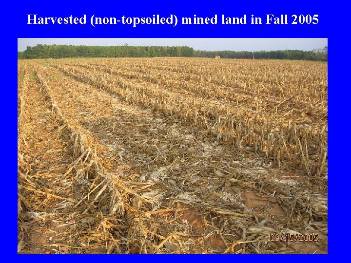 Harvested (non-topsoiled) mined land in Fall 2005 