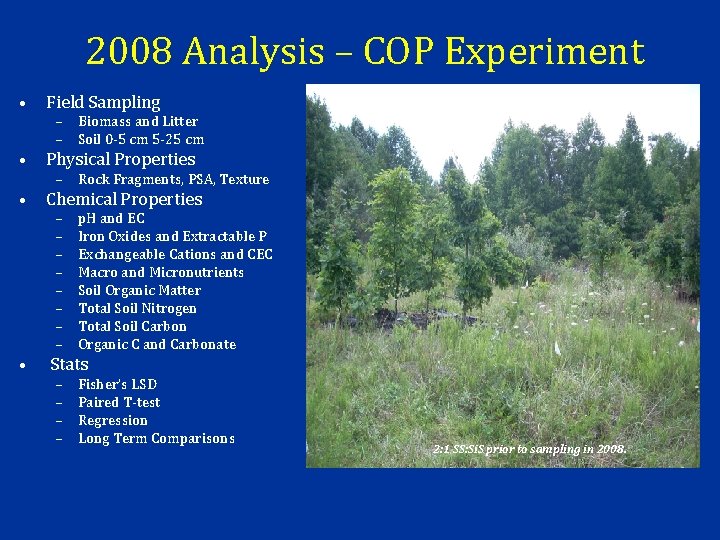 2008 Analysis – COP Experiment • Field Sampling • Physical Properties • Chemical Properties
