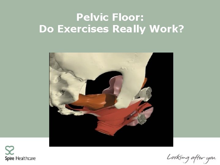 Pelvic Floor: Do Exercises Really Work? 