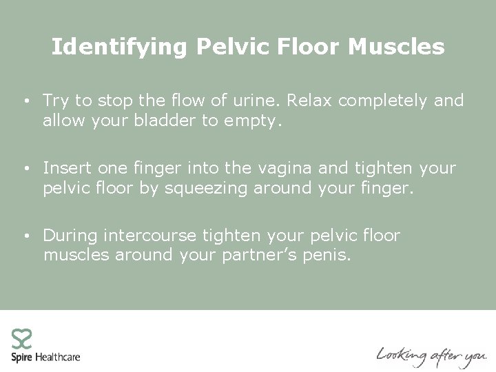 Identifying Pelvic Floor Muscles • Try to stop the flow of urine. Relax completely