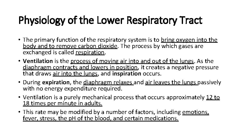 Physiology of the Lower Respiratory Tract • The primary function of the respiratory system
